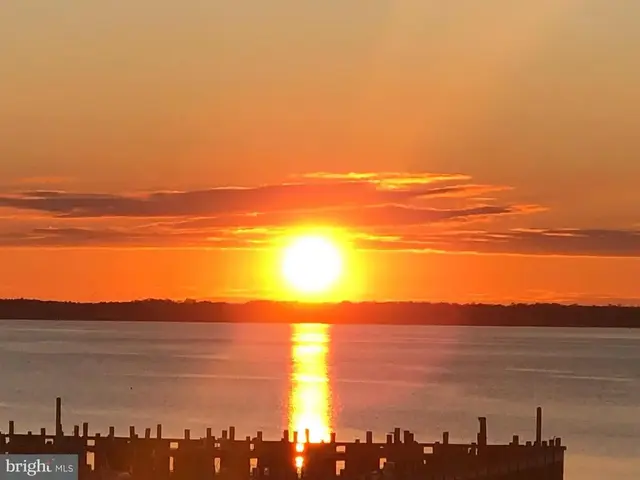 1301 Coastal Hwy #256, Dewey Beach