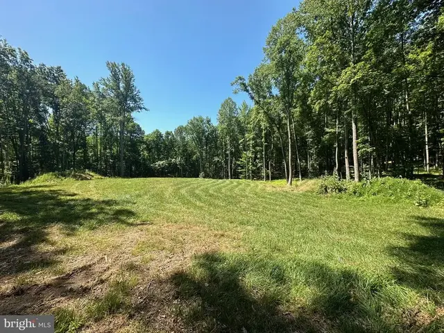 10405-lot 1 Piney Branch Rd, Spotsylvania
