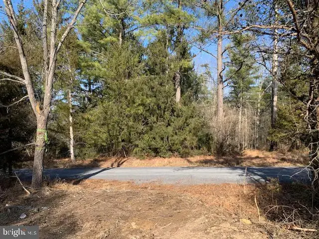 0 Supinlick Ridge Rd, Mount Jackson