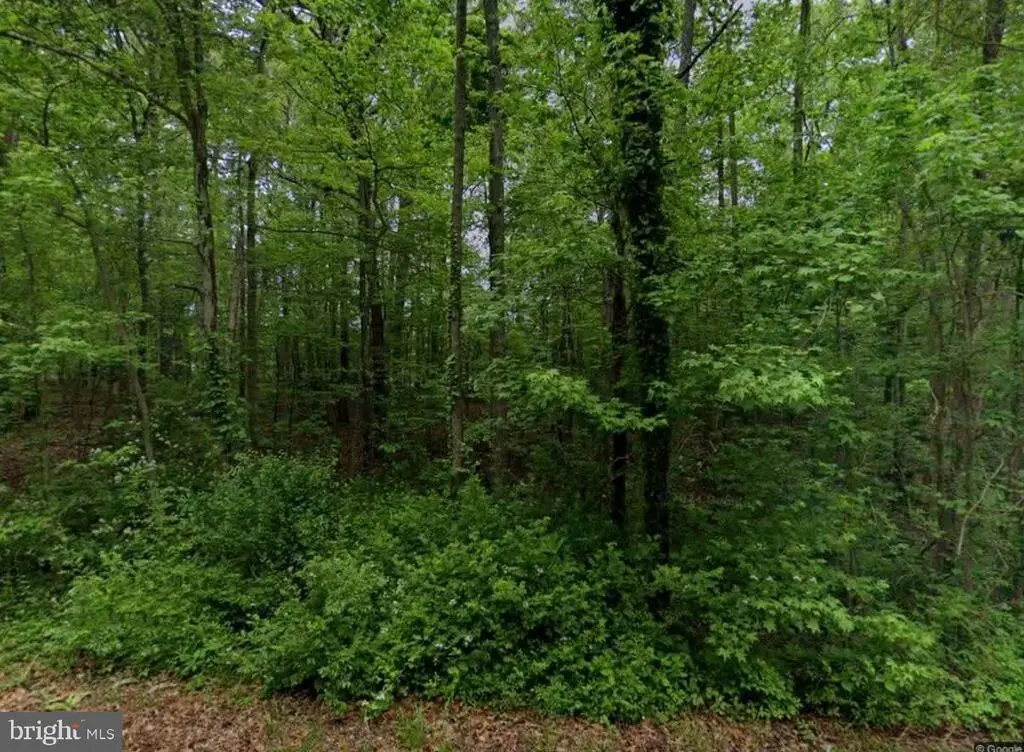 11126 Reynolds Rd, Kingsville