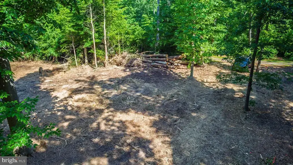 583 Blackbird Landing Rd, TOWNSEND