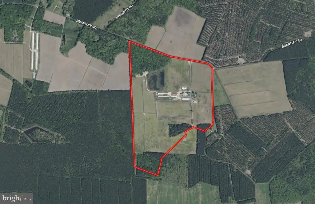 641 Critcher Rd, Pocomoke City