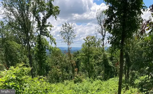 13477 Mountain Road, Lovettsville