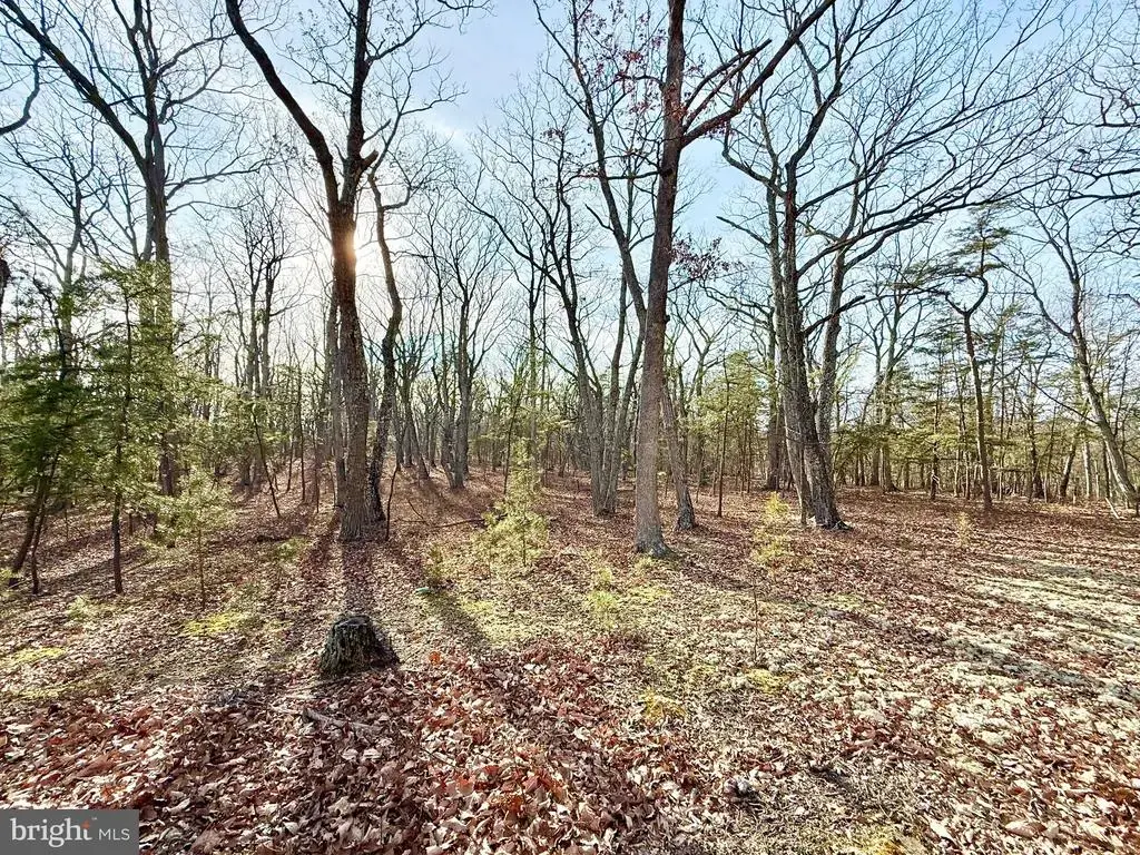Snickerdoodle Lane, LAHMANSVILLE