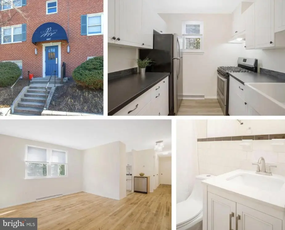 4407 Falls Bridge Dr #c, BALTIMORE