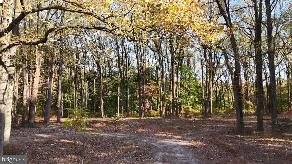 393 Port Royal Ave, Philadelphia