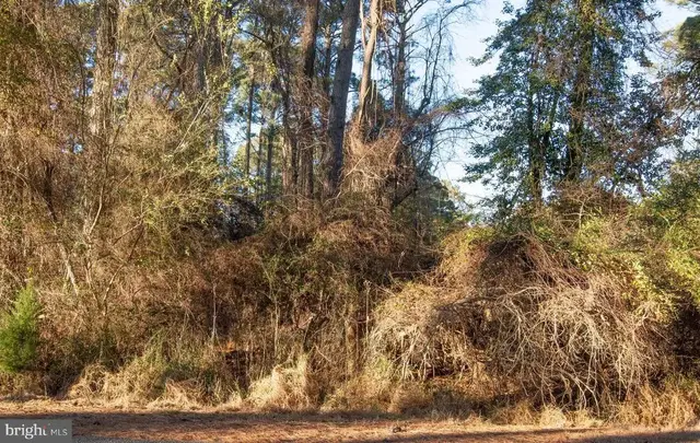 Lot 1098 Amidship Dr, Greenbackville