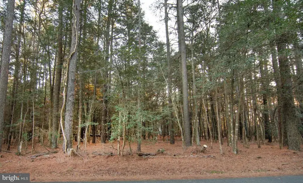Lot 827 Castaway Dr, GREENBACKVILLE