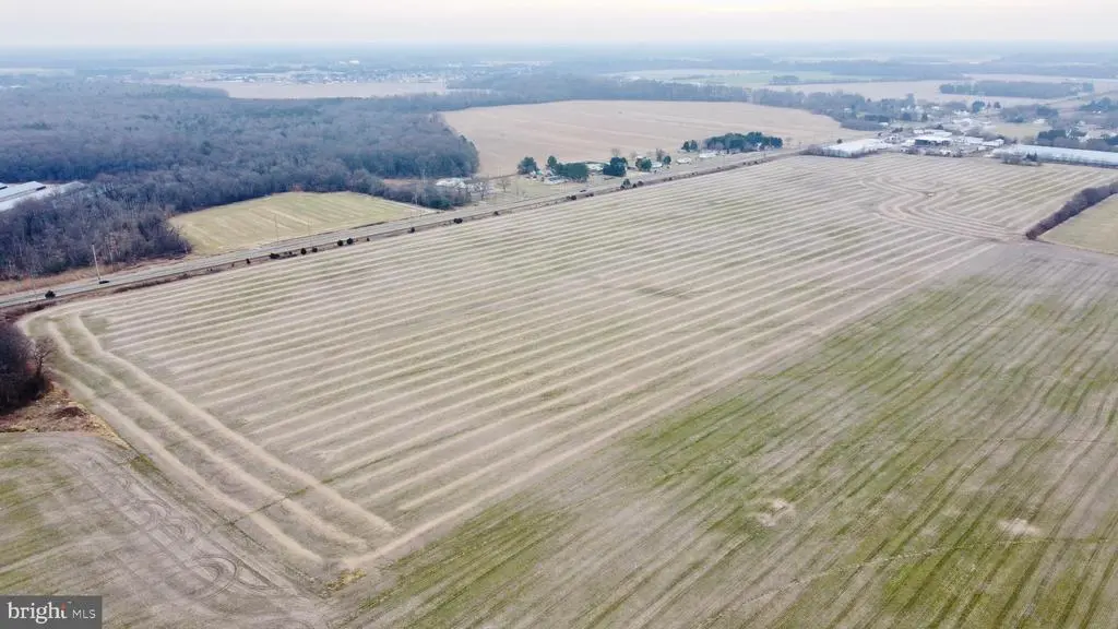 Parcel 1 - Wilson Farm Rd, Bridgeville