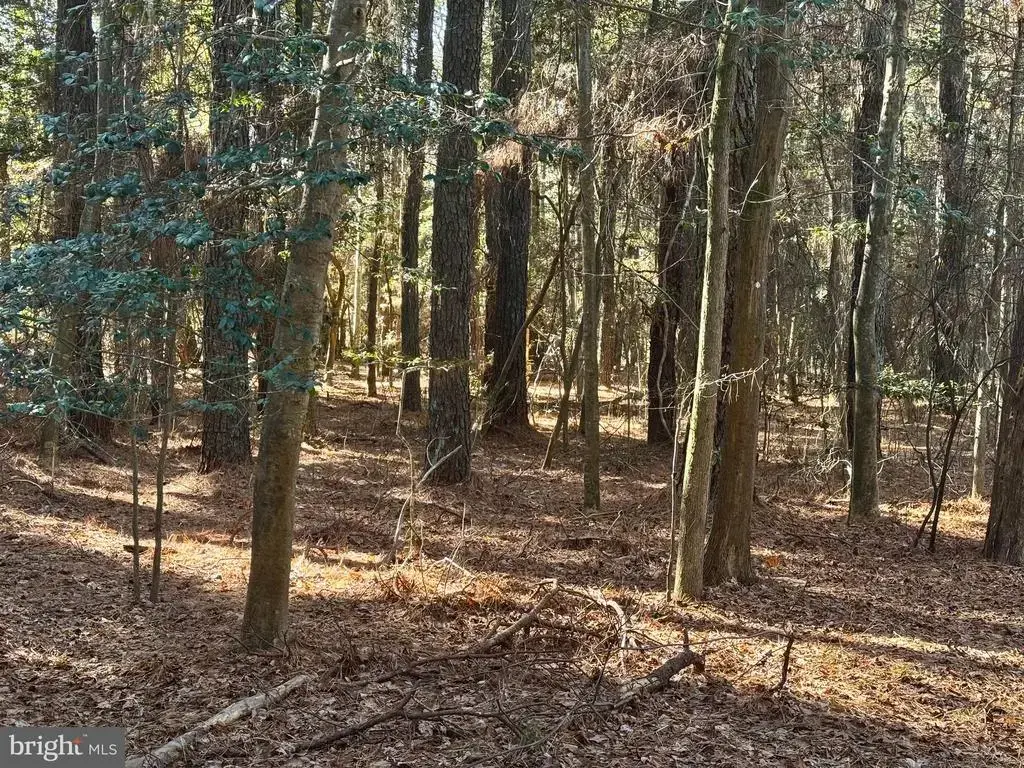Lot 831 Castaway Dr, GREENBACKVILLE