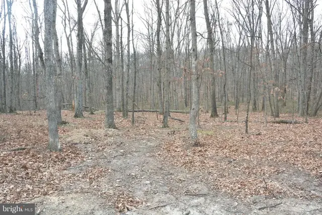 N Timber Ridge Rd #lot 4 (60 A), Cross Junction