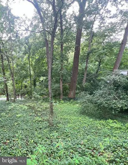 Lot P6 Block 3 Sligo Creek Pkwy, TAKOMA PARK