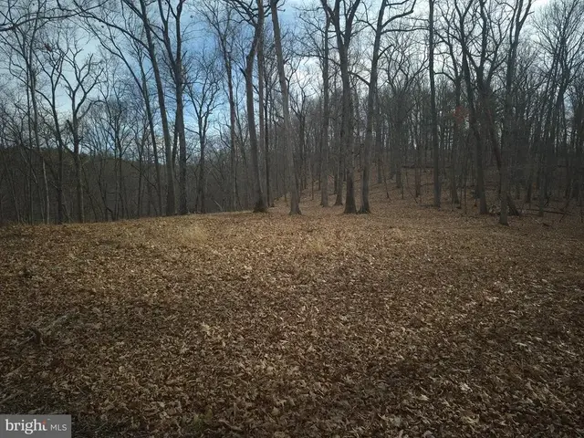 Lot 17 Hodges Ln, Winchester