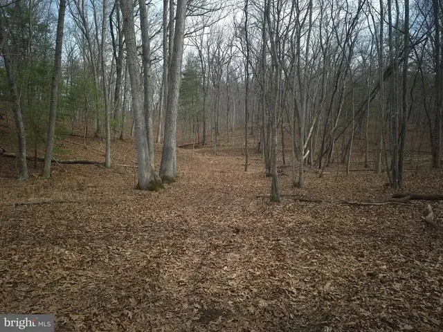 Lot 16 Hodges Ln, Winchester