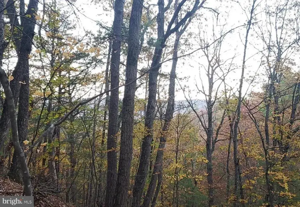 0 Fairway Ave #lot 30, BASYE
