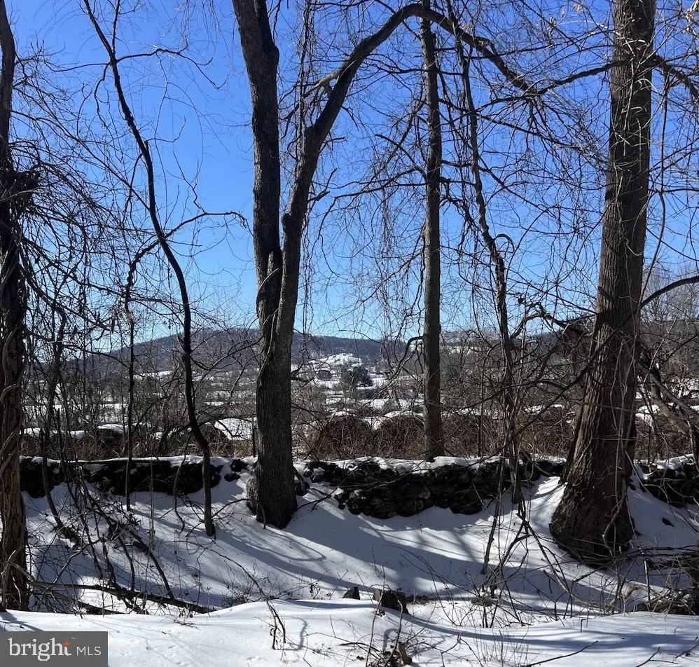 Carleton Ln, THE PLAINS