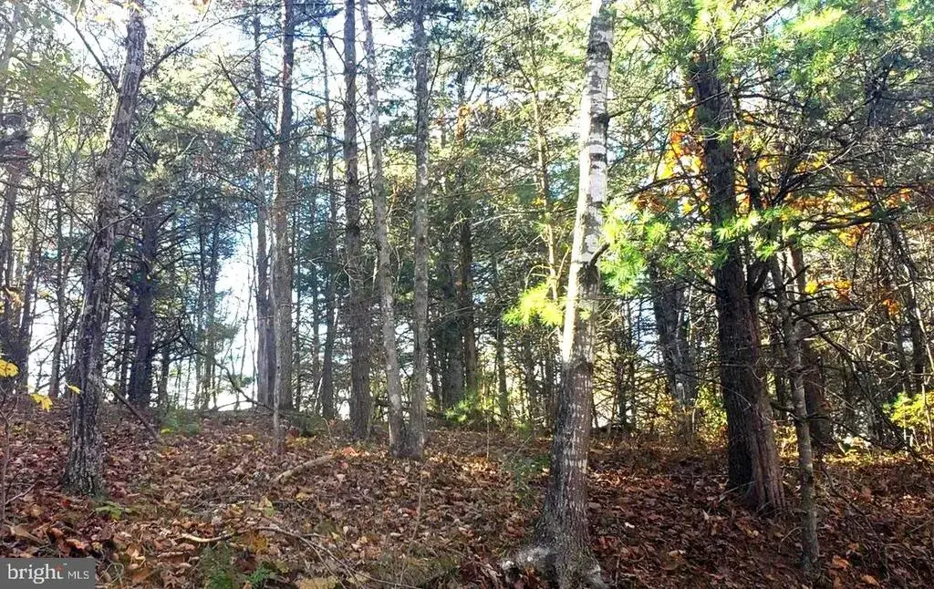 0 Fairway Dr #lot 31, BASYE