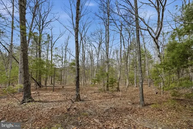 5.35 Ac # 16 B- Back Mountain Rd, Winchester