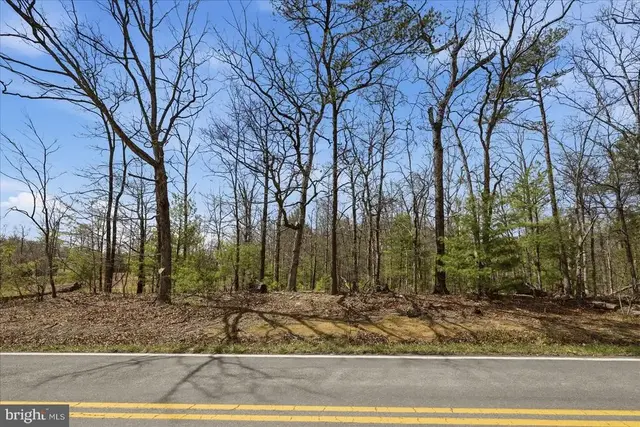 5.35 Ac # 16 F- Back Mountain Rd, Winchester