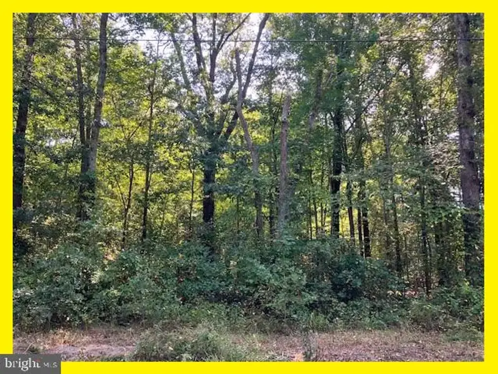 Upland Dr, BUSHWOOD