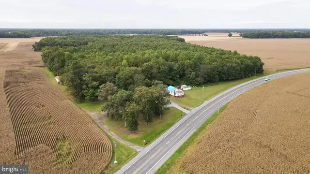 2660 Federalsburg Rd, Bridgeville