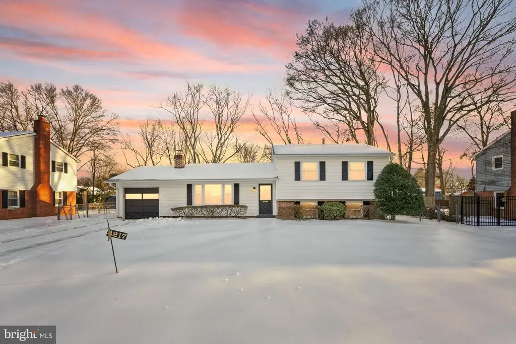 4217 Alcott St, ALEXANDRIA