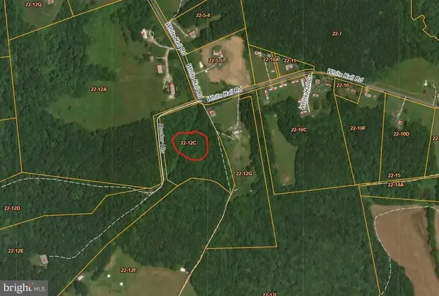 White Hall Rd 6.75 Acres, King George
