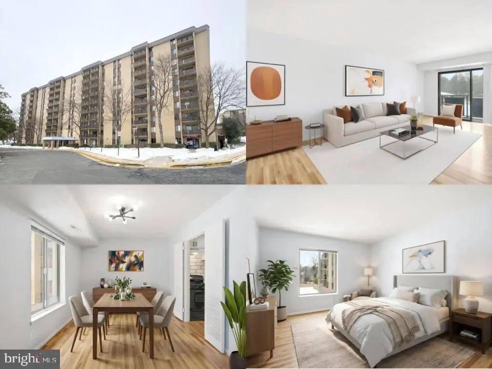 3100 S Manchester St #317, FALLS CHURCH