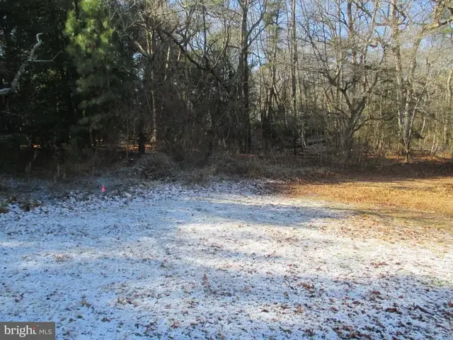 30778 Bunting Road, Dagsboro