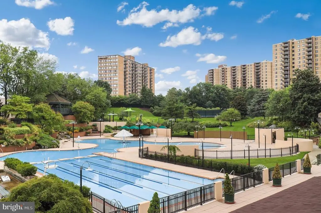 309 Yoakum Pkwy #1604, ALEXANDRIA