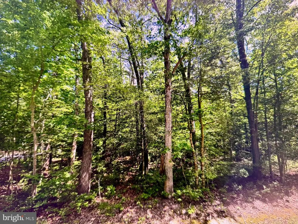 Lot 19 Mission Place, MILLSBORO