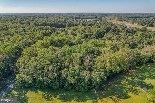 Lot 22 Wood Duck Ct, Dagsboro