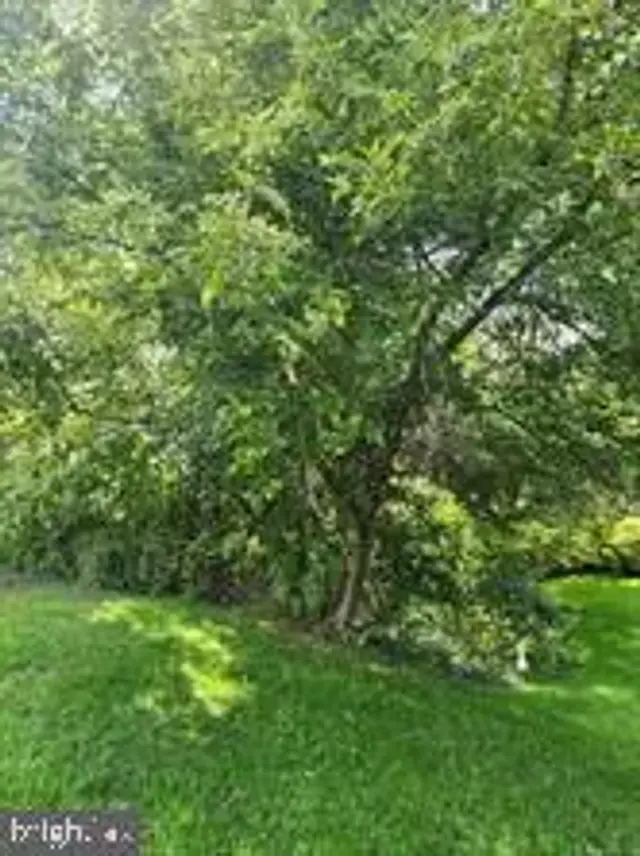 0 Joppa Rd, York