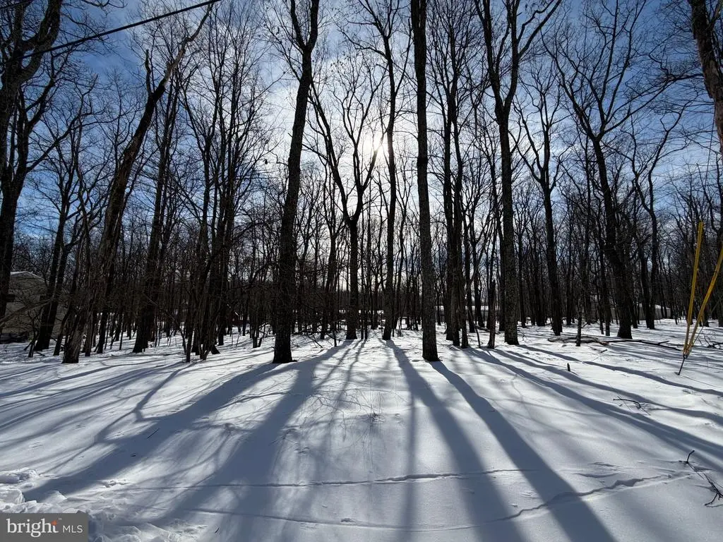 284 Killington, ZION GROVE