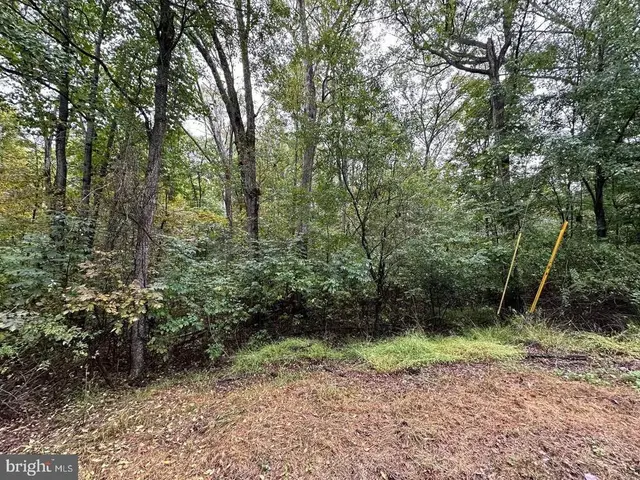 181 Oak Dr, Winchester