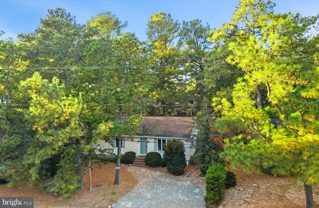 24 Cedar Rd, Rehoboth Beach