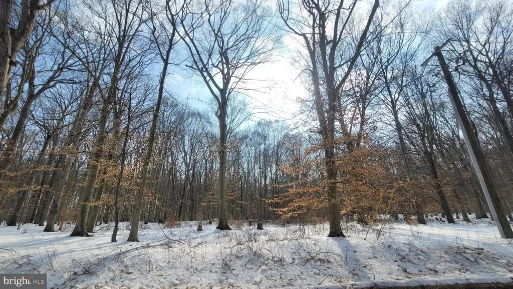 262 White Marsh Rd, CENTREVILLE