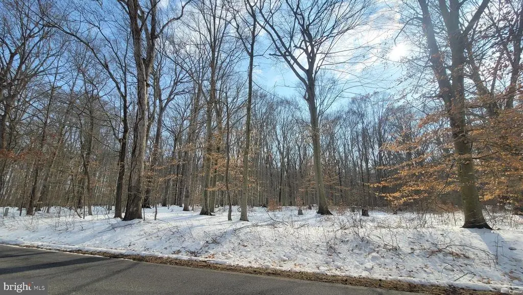 266 White Marsh Rd, CENTREVILLE