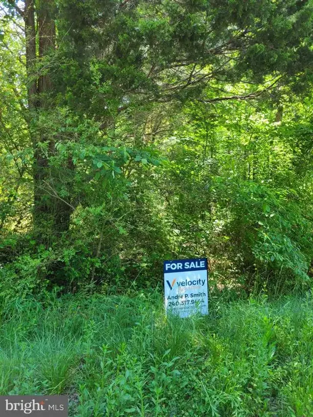 12735 Shiloh Church Rd, Newburg