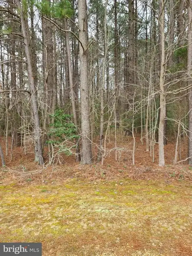 Marie Road, Newburg