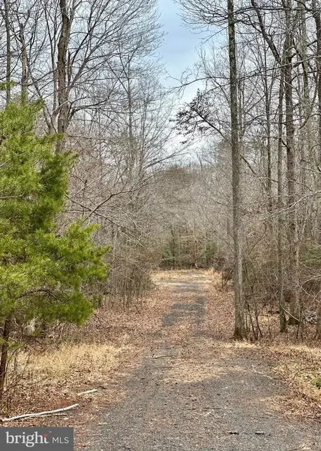 9680 Adams Willett Rd, Nanjemoy