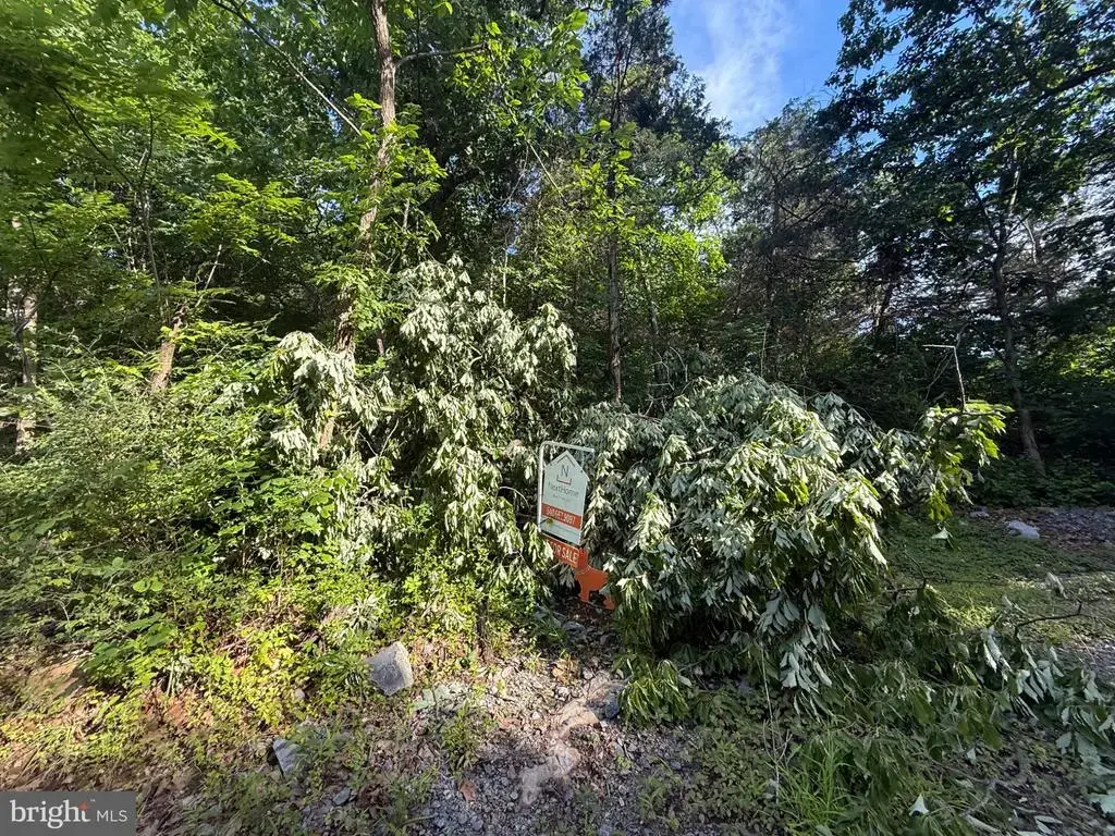 Lot 19 River Bluff Dr, FRONT ROYAL