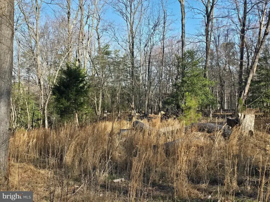 Lot #97 Angler Lane, MONTROSS