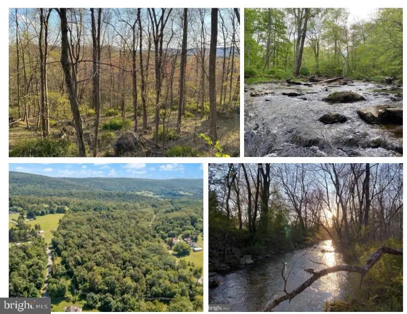 12509 Stottlemyer Rd, Myersville