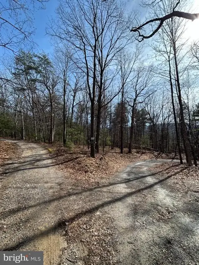 301 Abbotts Ln, Rileyville