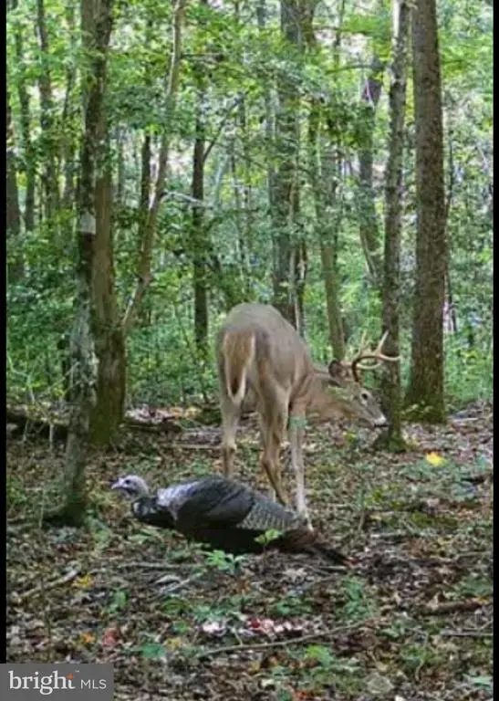 Big Woods Rd, CHURCH HILL