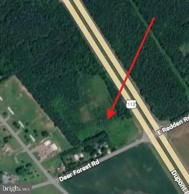 0 Rt 113 And Deer Forest Rd, Georgetown