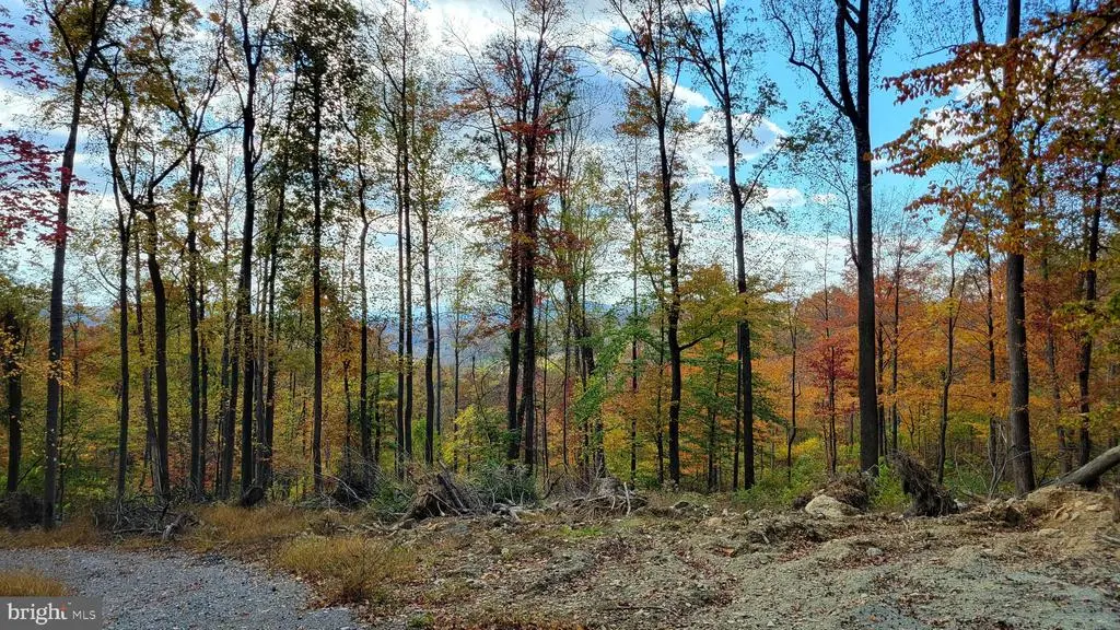 4460 Middlepoint Rd, Myersville