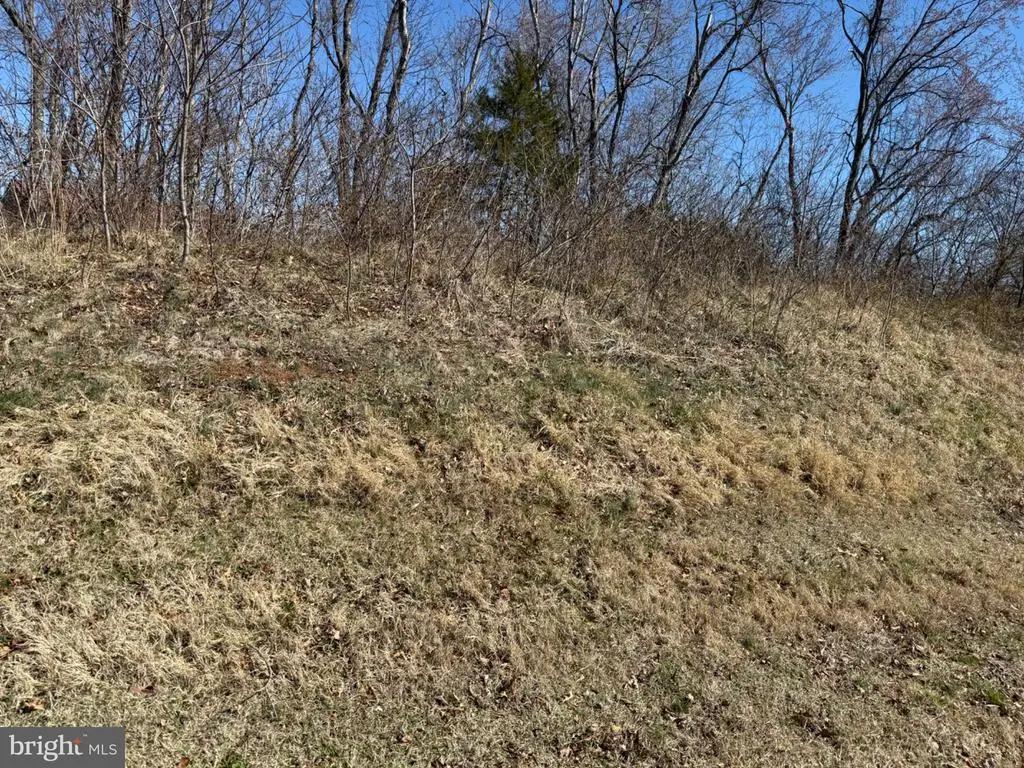 0 Colonel Jameson Blvd, CULPEPER