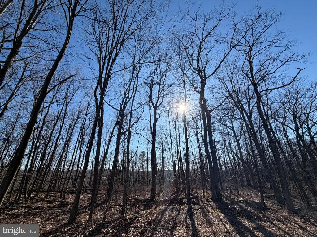 0 S Spring Mountain Dr, ZION GROVE